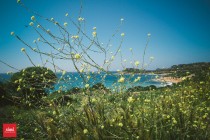 Pasqua in Sardegna